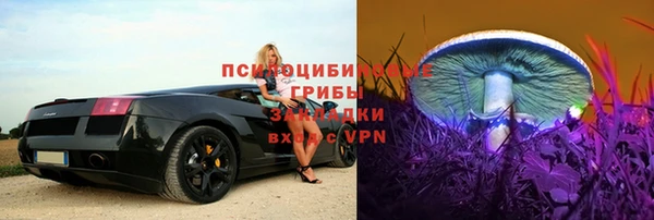 тгк Володарск