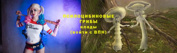 тгк Володарск