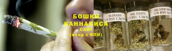 индика Верхний Тагил