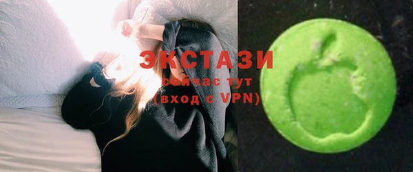 индика Верхний Тагил
