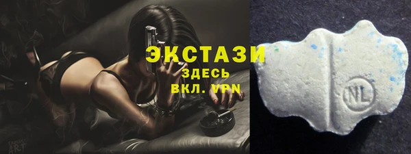 индика Верхний Тагил