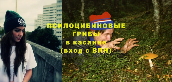 тгк Володарск
