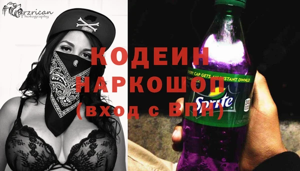 индика Волоколамск