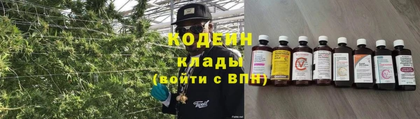 индика Волоколамск