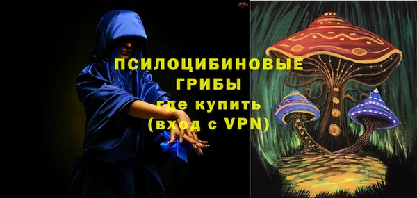 индика Верхний Тагил