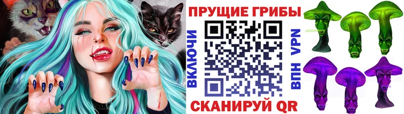 Псилоцибиновые грибы Psilocybe Электрогорск
